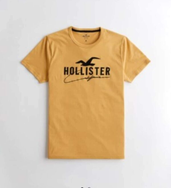 Hollister T-shirt